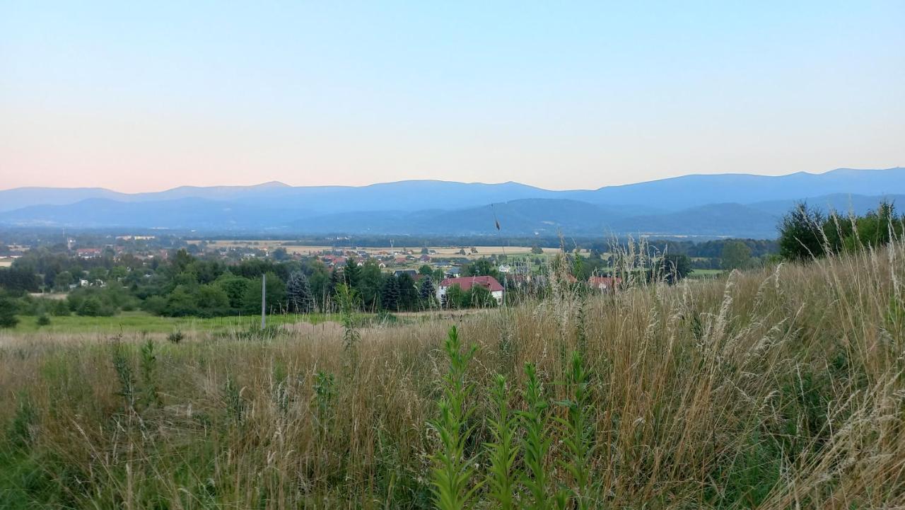 Waniliowe Zacisze Apartment Jelenia Gora Bagian luar foto